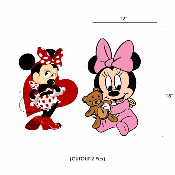 Minnie Mouse Theme Exclusive Kit For Sale